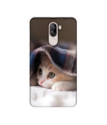 Amazon Brand - Solimo Designer Sleepy Kitten UV Printed Soft Back Case Mobile Cover for iVooMi i1