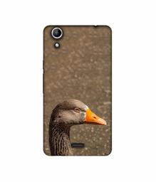 Amazon Brand - Solimo Designer Duck Face 3D Printed Hard Back Case Mobile Cover for Micromax Canvas Selfie 2 Q340