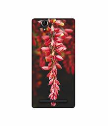 Amazon Brand - Solimo Designer Flowers Photograpy 3D Printed Hard Back Case Mobile Cover for Sony Xperia T2 Ultra