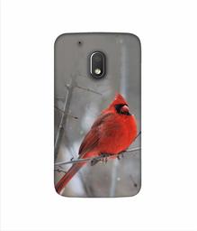 Amazon Brand - Solimo Designer Red Engry Bird 3D Printed Hard Back Case Mobile Cover for Motorola Moto G4 Play