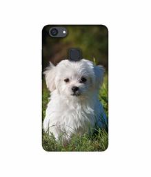 Amazon Brand - Solimo Designer White Dog UV Printed Soft Back Case Mobile Cover for Vivo V7 Plus