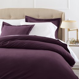 Pinzon Signature 190-Gram Velvet Flannel Duvet Set