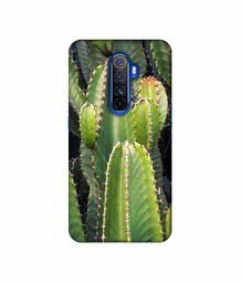 Amazon Brand - Solimo Designer Desert Plant 3D Printed Hard Back Case Mobile Cover for Oppo Reno Ace/Realme X2 Pro