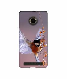 Amazon Brand - Solimo Designer Bird 3D Printed Hard Back Case Mobile Cover for Micromax YU Yuphoria AQ5010 / AO5010