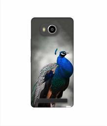 Amazon Brand - Solimo Designer Peacock 3D Printed Hard Back Case Mobile Cover for Lenovo A7700