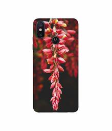 Amazon Brand - Solimo Designer Flowers Photograpy 3D Printed Hard Back Case Mobile Cover for Motorola One Power