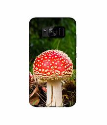 Amazon Brand - Solimo Designer Red Mushroom 3D Printed Hard Back Case Mobile Cover for Samsung Galaxy S8 Plus