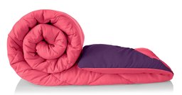 Amazon Brand - Solimo Microfiber Reversible Comforter, Double (Vivid Pink & Majestic Purple, 200 GSM)