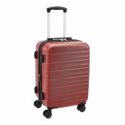 AmazonBasics 20 inch ABS Luggage