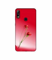 Amazon Brand - Solimo Designer Red Roses 3D Printed Hard Back Case Mobile Cover for Asus ZenFone Max Pro M2