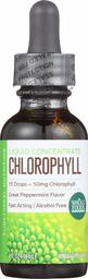 Whole Foods Market, Liquid Concentrate Chlorophyll, 1 fl oz