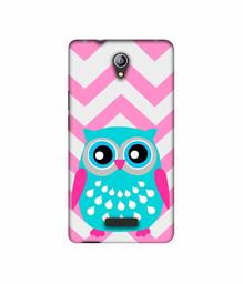 Amazon Brand - Solimo Designer Sky Blue Owl 3D Printed Hard Back Case Mobile Cover for Micromax Canvas Pace 4G Q416