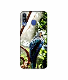 Amazon Brand - Solimo Designer Macaw Parrot 3D Printed Hard Back Case Mobile Cover for Samsung Galaxy M21