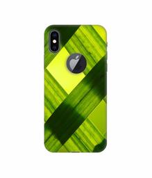 Amazon Brand - Solimo Designer Leafs Texture 3D Printed Hard Back Case Mobile Cover for Apple iPhone Xs Max (Logo Cut)