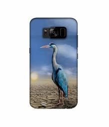 Amazon Brand - Solimo Designer Bagula 3D Printed Hard Back Case Mobile Cover for Samsung Galaxy S8 Plus