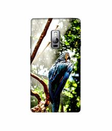 Amazon Brand - Solimo Designer Macaw Parrot 3D Printed Hard Back Case Mobile Cover for OnePlus 2