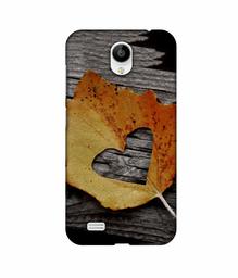 Amazon Brand - Solimo Designer Leaf with Heart Cut 3D Printed Hard Back Case Mobile Cover for Vivo Y21L