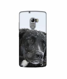 Amazon Brand - Solimo Designer Labrador Dog 3D Printed Hard Back Case Mobile Cover for Lenovo K4 Note