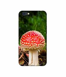 Amazon Brand - Solimo Designer Red Mushroom 3D Printed Hard Back Case Mobile Cover for Oppo A71