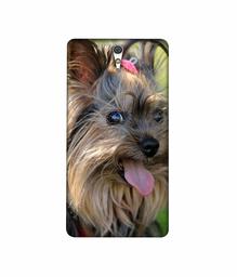 Amazon Brand - Solimo Designer Hairy Puppy 3D Printed Hard Back Case Mobile Cover for Sony Xperia C5 Ultra Dual