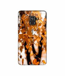 Amazon Brand - Solimo Designer Autumn Photography 3D Printed Hard Back Case Mobile Cover for Samsung Galaxy A8 Plus