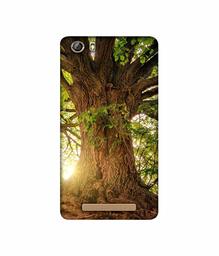 Amazon Brand - Solimo Designer Tree Trunk 3D Printed Hard Back Case Mobile Cover for Gionee Marathon M5 lite