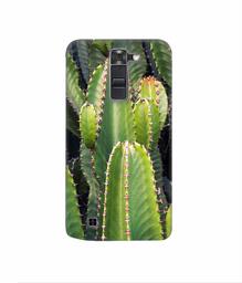 Amazon Brand - Solimo Designer Desert Plant 3D Printed Hard Back Case Mobile Cover for LG K7