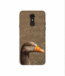 Amazon Brand - Solimo Designer Duck Face 3D Printed Hard Back Case Mobile Cover for LG Q7