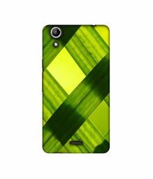 Amazon Brand - Solimo Designer Leafs Texture 3D Printed Hard Back Case Mobile Cover for Micromax Canvas Selfie 2 Q340