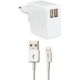 AmazonBasics - Caricabatterie a 2 porte (4,2 Amp) con cavo 0,9 m