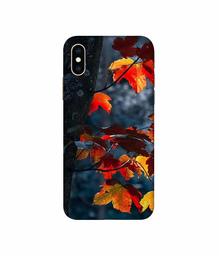 Amazon Brand - Solimo Designer Autumn Leaf 3D Printed Hard Back Case Mobile Cover for Apple iPhone Xs Max