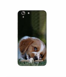 Amazon Brand - Solimo Designer Cute Puppy 3D Printed Hard Back Case Mobile Cover for Lenovo Vibe K5 Plus