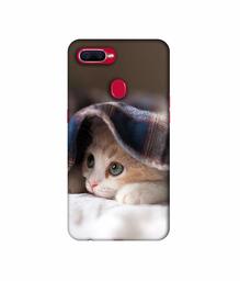 Amazon Brand - Solimo Designer Sleepy Kitten 3D Printed Hard Back Case Mobile Cover for Realme 2 Pro