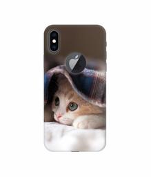 Amazon Brand - Solimo Designer Sleepy Kitten 3D Printed Hard Back Case Mobile Cover for Apple iPhone Xs Max (Logo Cut)