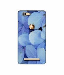 Amazon Brand - Solimo Designer Light Blue Flower Photography 3D Printed Hard Back Case Mobile Cover for Gionee F103 Pro