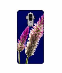 Amazon Brand - Solimo Designer Wheat Flower 3D Printed Hard Back Case Mobile Cover for Huawei Mate 9