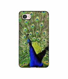 Amazon Brand - Solimo Designer Peacock 3D Printed Hard Back Case Mobile Cover for Xiaomi Redmi Y1 Lite