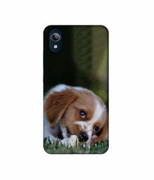 Amazon Brand - Solimo Designer Cute Puppy 3D Printed Hard Back Case Mobile Cover for Vivo Y91i