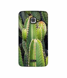 Amazon Brand - Solimo Designer Desert Plant 3D Printed Hard Back Case Mobile Cover for InFocus M350