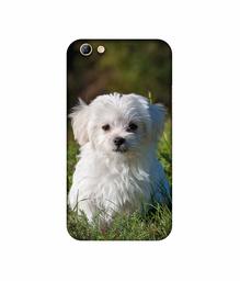 Amazon Brand - Solimo Designer White Dog UV Printed Soft Back Case Mobile Cover for Oppo F3 Plus