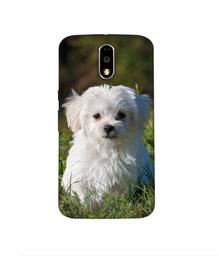 Amazon Brand - Solimo Designer White Dog 3D Printed Hard Back Case Mobile Cover for Motorola Moto G4 Plus