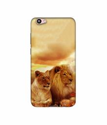 Amazon Brand - Solimo Designer Lion with Lioness 3D Printed Hard Back Case Mobile Cover for Vivo V5 Plus