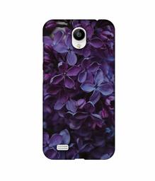 Amazon Brand - Solimo Designer Purple Flowers 3D Printed Hard Back Case Mobile Cover for Vivo Y21L