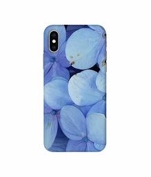 Amazon Brand - Solimo Designer Light Blue Flower Photography 3D Printed Hard Back Case Mobile Cover for Apple iPhone Xs Max