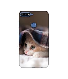 Amazon Brand - Solimo Designer Sleepy Kitten 3D Printed Hard Back Case Mobile Cover for Huawei Honor 7C