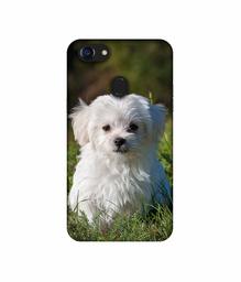 Amazon Brand - Solimo Designer White Dog UV Printed Soft Back Case Mobile Cover for Oppo F5