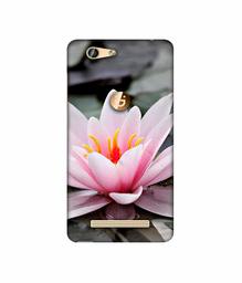 Amazon Brand - Solimo Designer Lotus 3D Printed Hard Back Case Mobile Cover for Gionee F103 Pro