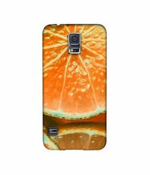 Amazon Brand - Solimo Designer Orange Slice 3D Printed Hard Back Case Mobile Cover for Samsung Galaxy S5 i9600