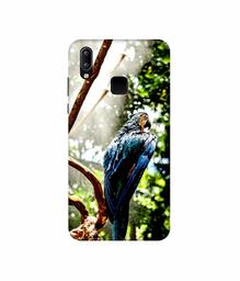 Amazon Brand - Solimo Designer Macaw Parrot 3D Printed Hard Back Case Mobile Cover for Vivo Y95