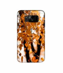 Amazon Brand - Solimo Designer Autumn Photography 3D Printed Hard Back Case Mobile Cover for Samsung Galaxy S8 Plus